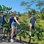 1 ubud downhill cycling with volcano rice terraces and meal Ubud: Downhill Cycling With Volcano, Rice Terraces and Meal