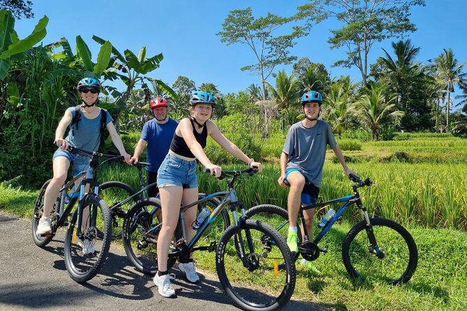1 ubud downhill cycling with volcano rice terraces and meal Ubud: Downhill Cycling With Volcano, Rice Terraces and Meal