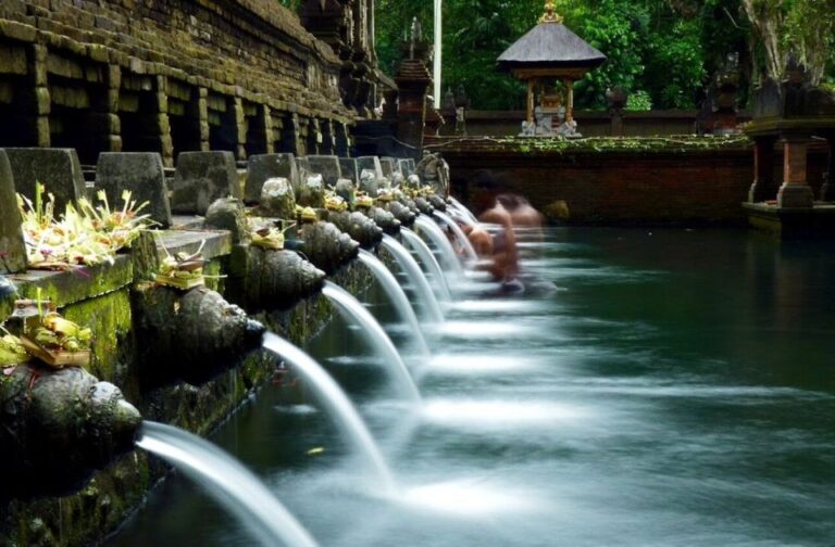 Ubud Full Day Tour With Private Car