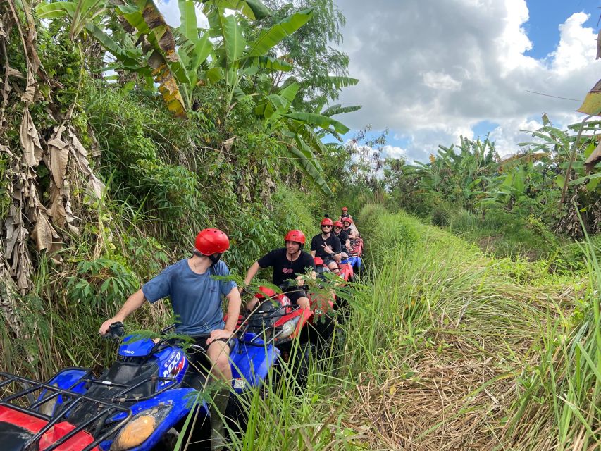 1 ubud gorilla face quad bike jungle swing waterfall meal Ubud: Gorilla Face Quad Bike, Jungle Swing, Waterfall & Meal