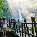 1 ubud highlights private tour with swing and batuan temple seminyak Ubud Highlights Private Tour With Swing and Batuan Temple - Seminyak