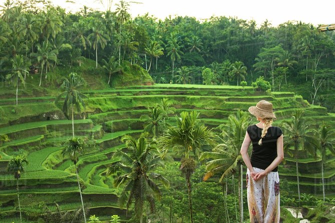 Ubud: Monkey Forest, Jungle Swing, Rice Terrace, and Water Temple