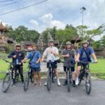 1 ubud private bike tour rice fields with meal and waterfall Ubud : Private Bike Tour Rice Fields With Meal and Waterfall