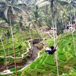 1 ubud private transport only tour with stop at rice field swing Ubud Private Transport-Only Tour With Stop at Rice Field Swing