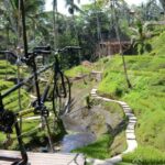 1 ubud sky bike and jungle swing experience with transfer Ubud: Sky Bike and Jungle Swing Experience With Transfer