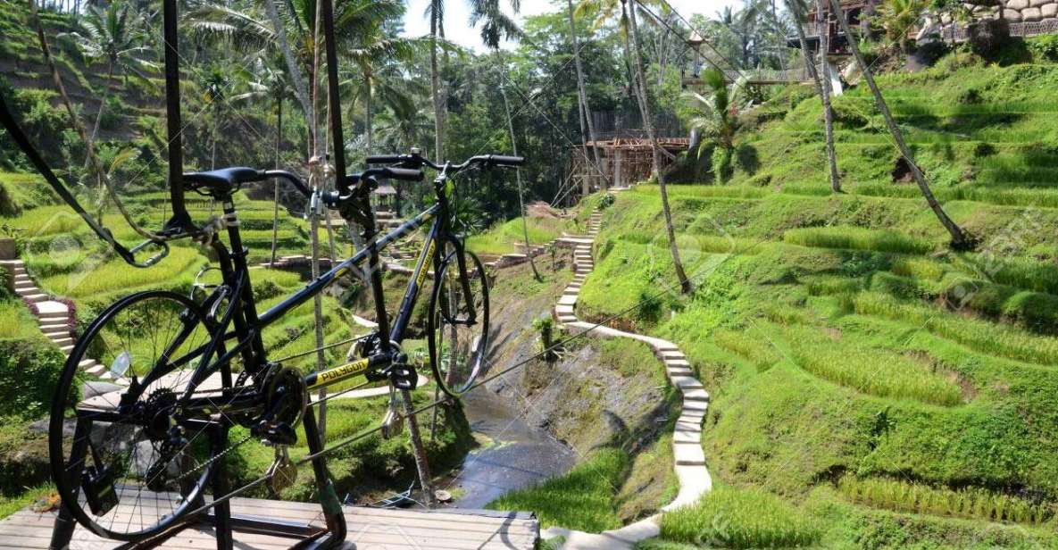 1 ubud sky bike and jungle swing experience with transfer Ubud: Sky Bike and Jungle Swing Experience With Transfer