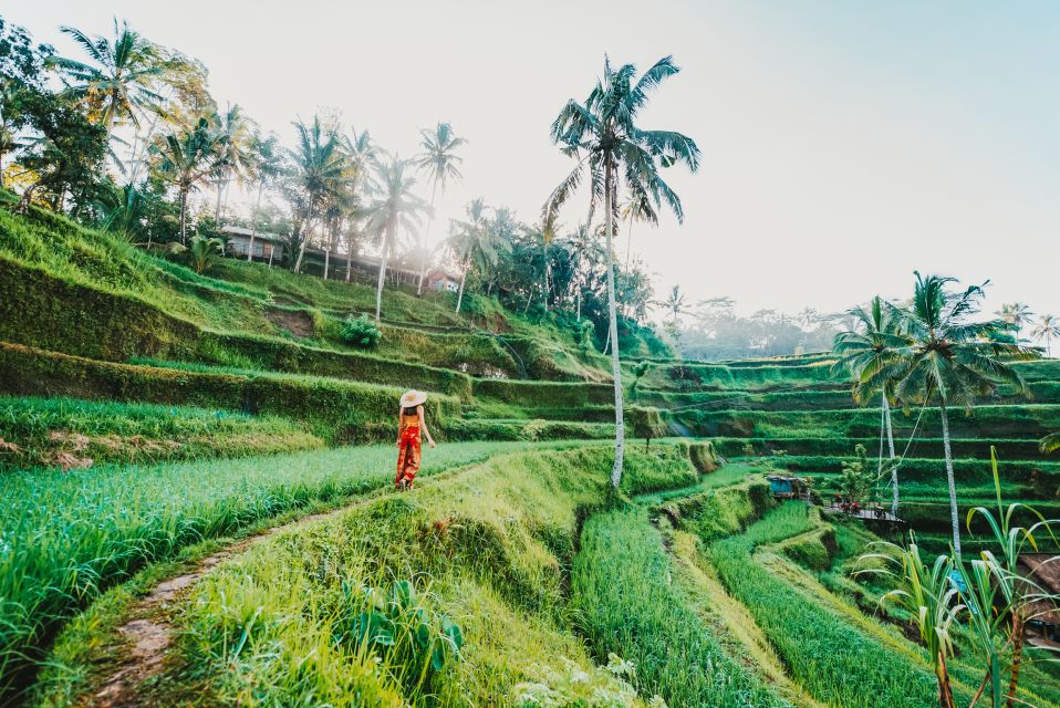 1 ubud spectacular waterfalls tour Ubud: Spectacular Waterfalls Tour