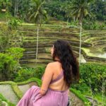 1 ubud tour best of ubud private tour with guide all inclusive Ubud Tour - Best of Ubud Private Tour With Guide - All Inclusive