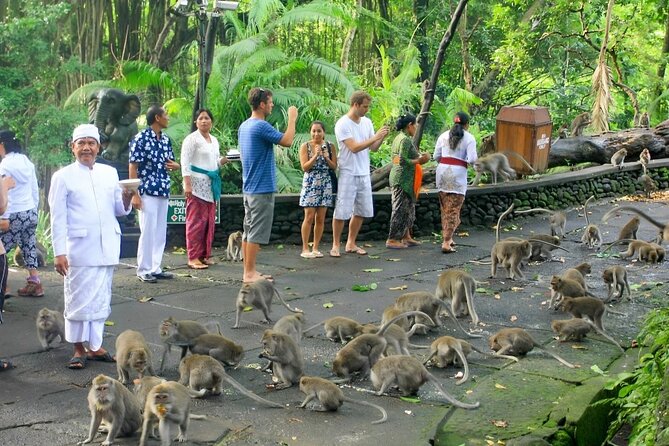Ubud Tour With Sacred Monkey Forest Sanctuary – Waterfall – Rice Terrace