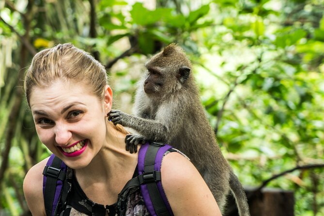 1 ubud tour with swing temple monkey forest and waterfall Ubud Tour With Swing, Temple, Monkey Forest, and Waterfall
