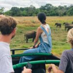 1 udawalawe national park private 4 hours safari trip Udawalawe National Park: Private 4 Hours Safari Trip