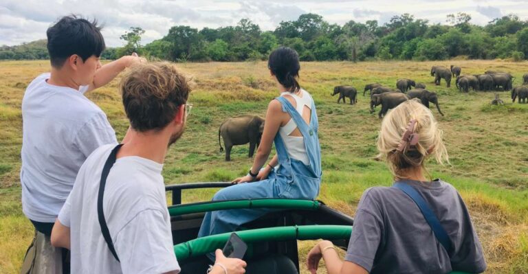 Udawalawe National Park: Private 4 Hours Safari Trip