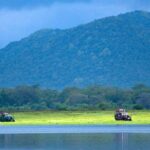 1 udawalawe national park private full day safari Udawalawe National Park Private Full-Day Safari