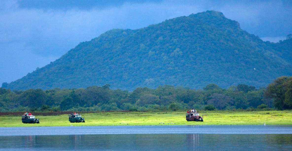 1 udawalawe national park private full day safari Udawalawe National Park Private Full-Day Safari