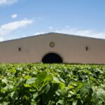 1 ultimate maipu experience wineries lunch Ultimate Maipú Experience - Wineries & Lunch