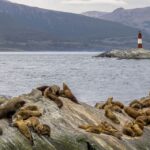 1 ushuaia two day trip to tierra del fuego beagle channel Ushuaia: Two-Day Trip to Tierra Del Fuego & Beagle Channel