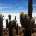 1 uyuni salt flat private tour from chile in hostels Uyuni Salt Flat Private Tour From Chile in Hostels