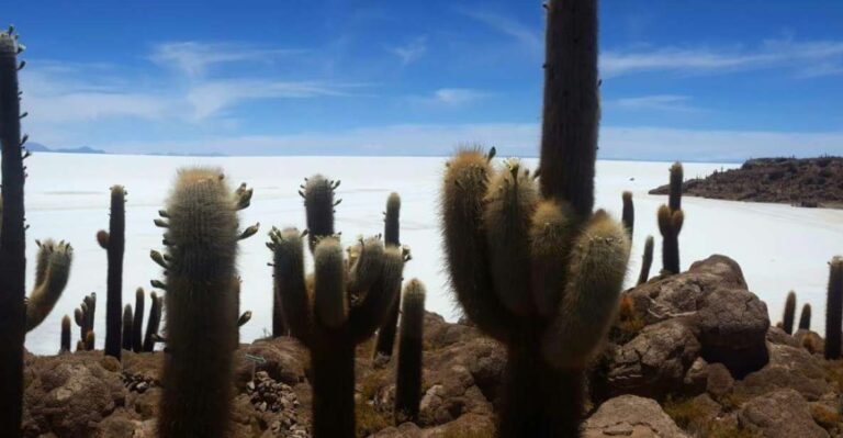 Uyuni Salt Flat Private Tour From Chile in Hostels