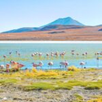 1 uyuni salt flats and red lagoon 3 days english in guide 2 Uyuni Salt Flats and Red Lagoon 3-Days English in Guide