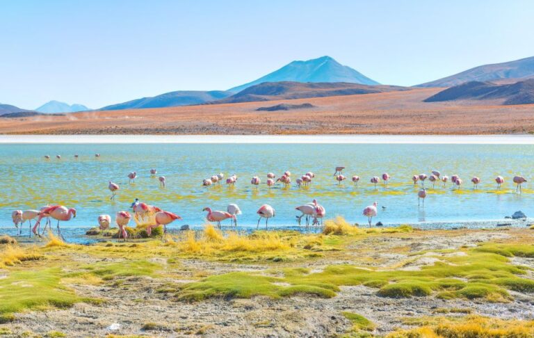 Uyuni Salt Flats and Red Lagoon 3-Days English in Guide