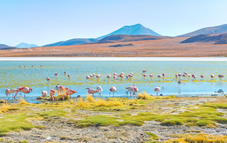1 uyuni salt flats and red lagoon 3 days english in guide 2 Uyuni Salt Flats and Red Lagoon 3-Days English in Guide