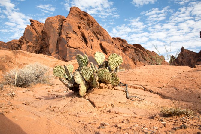 Valley of Fire and Lost City Museum Tour From Las Vegas