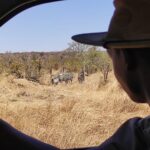 1 victoria falls safari game drive with hotel pick up Victoria Falls: Safari Game Drive With Hotel Pick up