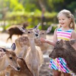 1 vienna zoo with private flexible transfers and tickets Vienna: Zoo With Private Flexible Transfers and Tickets