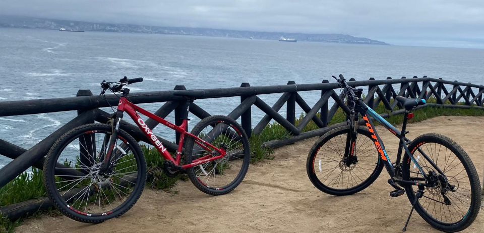 Viña Del Mar: Coastal Bike Tour - Key Points