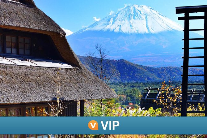 VIP: Mt Fuji Private Tour With Sengen Shrine Visit From Tokyo