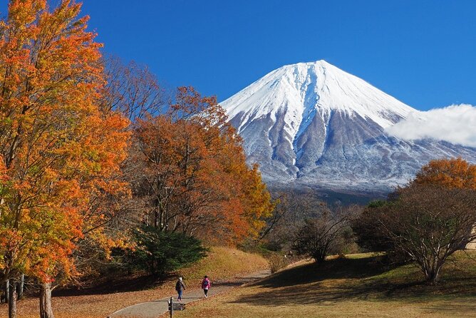 Virtual Tour to Discover Mount Fuji