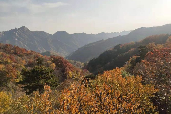 1 visit mutianyu great walltea house with private car and english speaking driver Visit Mutianyu Great Wall&Tea House With Private Car and English Speaking Driver