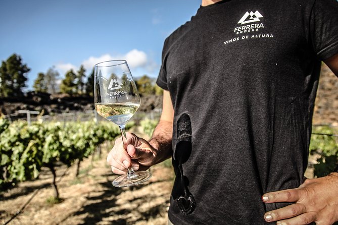 1 visit to arafo mountain vineyard and organic wine tasting Visit to Arafo Mountain Vineyard and Organic Wine Tasting