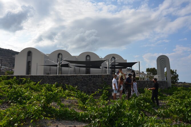 Visit Two Award Winning Wineries in Santorini With Wine Tasting