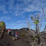 1 volcano hike in lanzarote with hotel pickup Volcano Hike in Lanzarote With Hotel Pickup