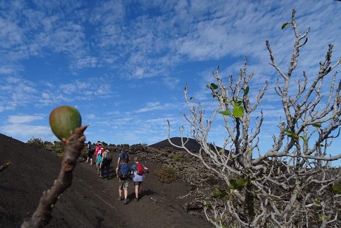 Volcano Hike in Lanzarote With Hotel Pickup