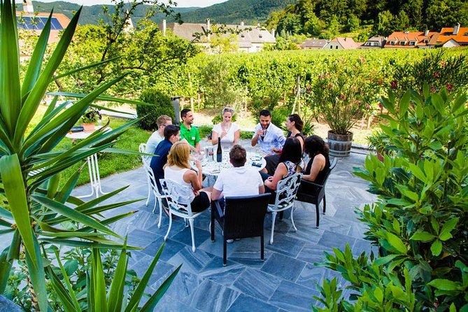 Wachau Valley Small-Group Tour and Wine Tasting From Vienna