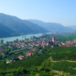 1 wachau valley vines a culinary and cultural private experience Wachau Valley Vines: A Culinary and Cultural Private Experience