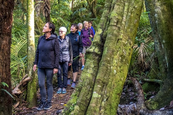 Waiheke Island Private Forest Therapy Walk