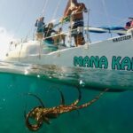 1 waikiki turtle snorkel adventure with manakai catamaran Waikiki Turtle Snorkel Adventure With Manakai Catamaran
