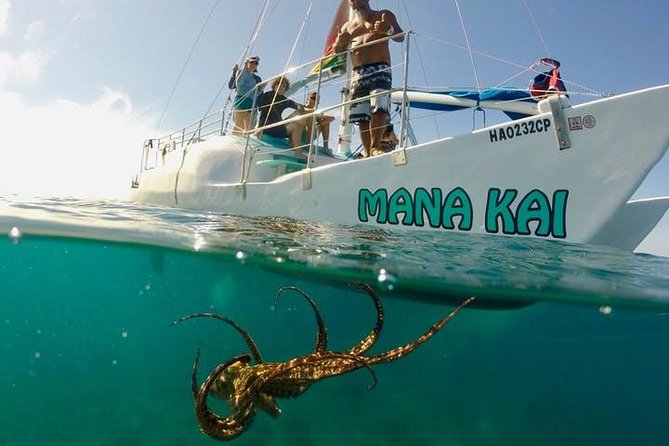 1 waikiki turtle snorkel adventure with manakai catamaran Waikiki Turtle Snorkel Adventure With Manakai Catamaran