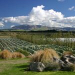 1 waipara wine experience for 2 or more inc tastings and lunch Waipara Wine Experience for 2 or More, Inc Tastings and Lunch