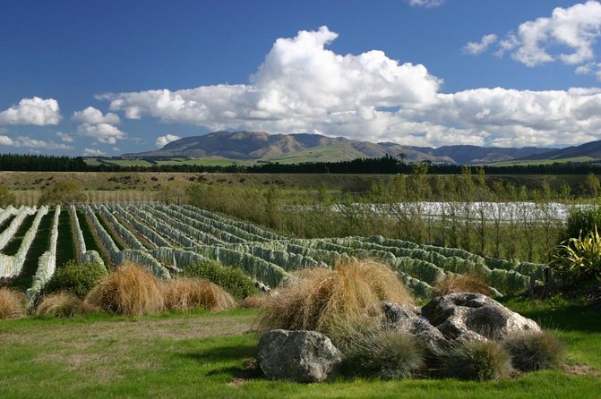 Waipara Wine Experience for 2 or More, Inc Tastings and Lunch