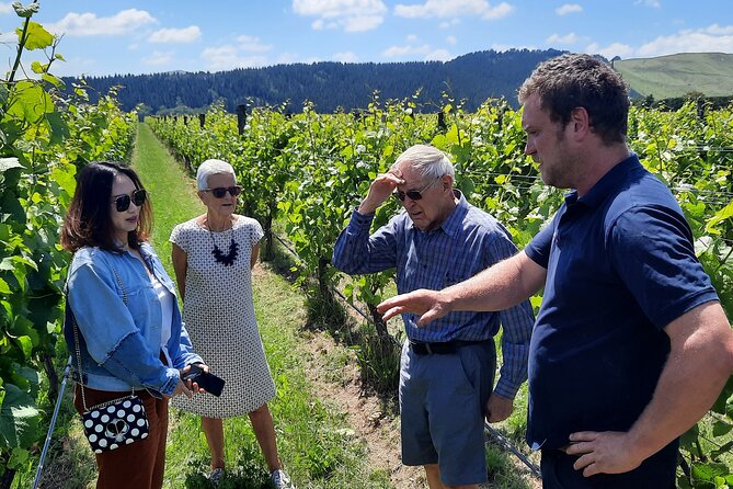 Wairarapa Food Small-Group Tour With Tastings, Vineyard Lunch (Mar )