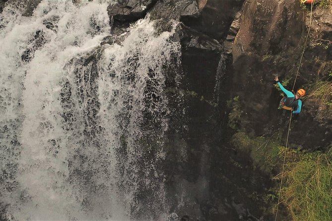 Waterfall Rappelling at Kulaniapia Falls: 120 Foot Drop, 15 Minutes From Hilo