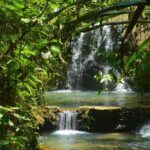 1 waterfalls and nature tour Waterfalls and Nature Tour