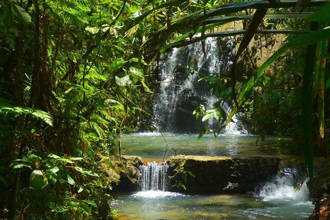Waterfalls and Nature Tour