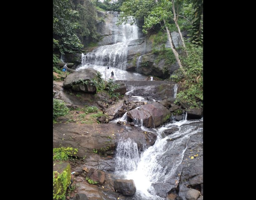 1 waterfalls of athirapply or areekal tour for 1 to 8 people Waterfalls of Athirapply or Areekal Tour for 1 to 8 People.