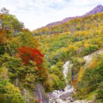 1 welcome to nagano private tour with a local Welcome to Nagano: Private Tour With a Local