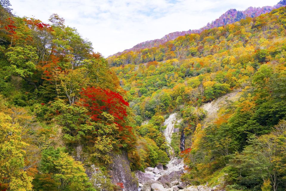 1 welcome to nagano private tour with a local Welcome to Nagano: Private Tour With a Local